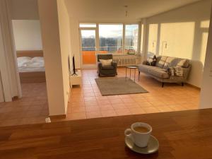 Wohnen auf Zeit in Mainz, große, helle Wohnung, Uni Nah