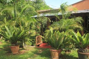 Sigiriya Nature View home Stay - 3hvězdičkové hotely ve městě Sigiriya