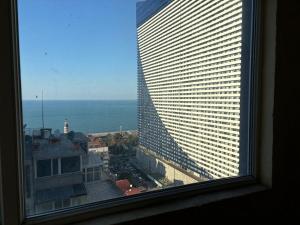 Bright studio, wonderful view