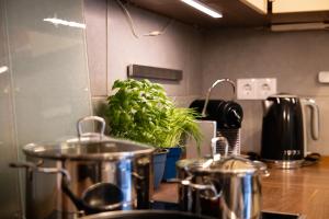 Große schöne Ferienwohnung mit kleinem Garten im Weinort Randersacker