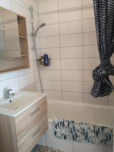 Appartements Superbe cocon de 44m2 : photos des chambres