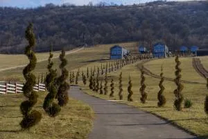 Shakaryan Rancho&Restaurant - Kurtʼan