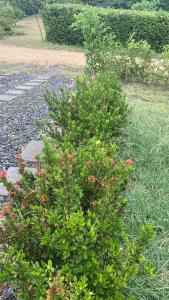 Casa con Piscina privada en Ricaurte cerca a Xielo