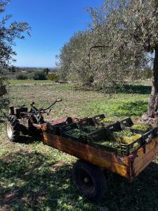 La Bella Vita Agriturismo