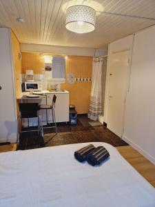 Maisons d'hotes Studio independant de 15m2 proche du Comet : photos des chambres