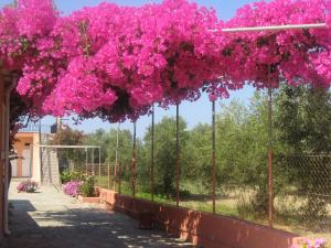 Paradise Studios Kefalloniá Greece