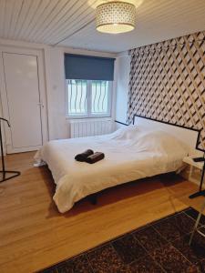 Maisons d'hotes Studio independant de 15m2 proche du Comet : Chambre Double