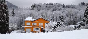 Appartements Gite forestier du Moulin (10 pers) : photos des chambres