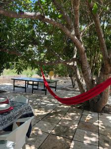 Sítio zona rural de Teresina