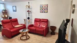 Le refuge dAlbi - Charmant T3 lumineux et tout équipé