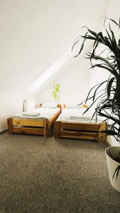 Apartament Słoneczny 1