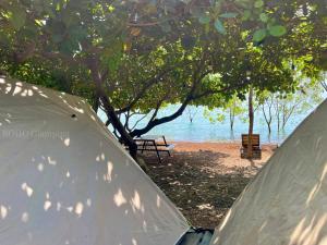 BOHO Glamping - CẮM TRẠI HỒ TRỊ AN