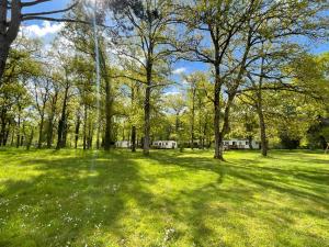 Campings Bungalow Hermes : photos des chambres