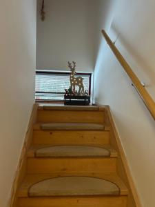 Horský Chalet Harrachov