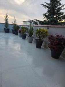 Garden Terrace Kvareli