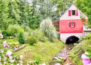 Moulin d’Eysus - Le Moulin - Ogeu-les-Bains