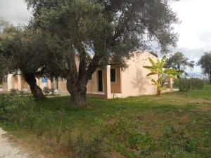 Barbati Beach Holiday Apartment Corfu Greece