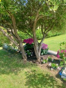 Villa Cice, con giardino img29