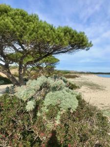 Villa Cice, con giardino img38