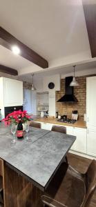 Premium City Center Jogailos Apartment