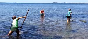 Maisons de vacances Maison 800 m de la plage pour 9 personnes : photos des chambres
