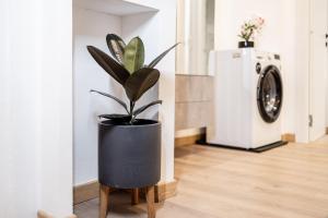 NN HOME viale xx settembre