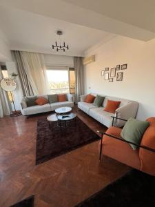 Luxury apartment on the Nile