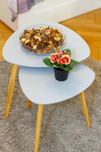 Luxury on Andrássy Avenue - A7