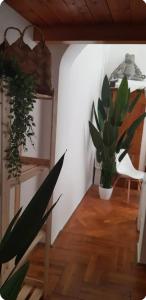 Cozy flat near Kazinczy downtown