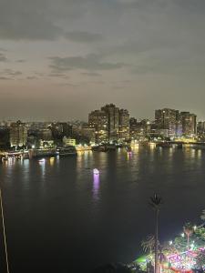 Luxury apartment on the Nile