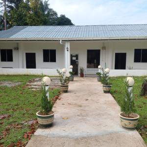 Sukau tomanggong view bed & breakfast