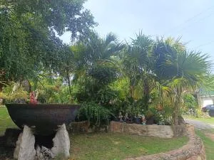 Samojon guest house - Maria