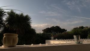 El Jardín de Sotogrande