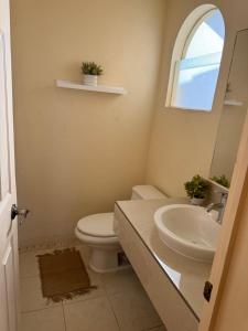 Beautiful apartment beach front, big pool