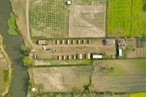 Camp One Horned Rhino - Kuthari