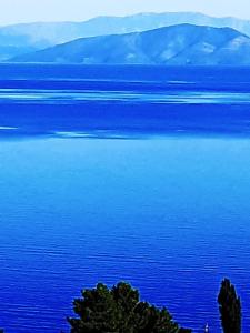 Luxury Villa Alexandros Corfu