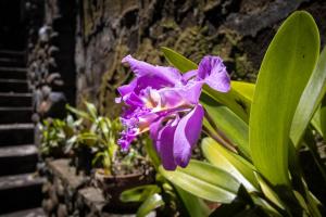Ubud villas