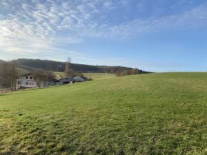 Pension am Hohberghof Dielheim