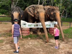 Snooze Inn Phuket - Free Shuttle to Bang Rong Pier