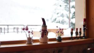 Cabana "Trei Brazi " Retezat