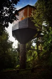 Treecasa Resort - Pithorāgarh