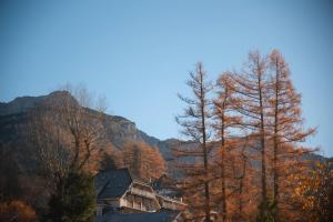 Appartements La Croix Du Sud : photos des chambres