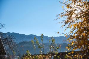 Appartements La Croix Du Sud : photos des chambres