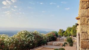 B&B / Chambres d'hotes NOUVEAU VISTA CORSICA vue a couper le souffle : photos des chambres