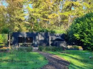 Luxury and Wellness in the Forest -- ALL-IN - Hulst