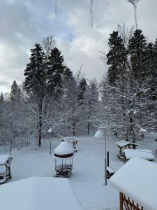 Ворота Карпат