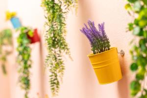 Stanza con Patio Privato nel centro storico di Alghero img16