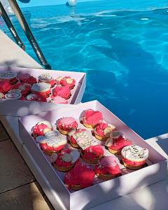 Boom House Fruska Gora