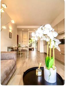 Casa Wilson