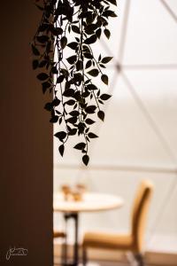 Domein de Koekoeksvlooghe